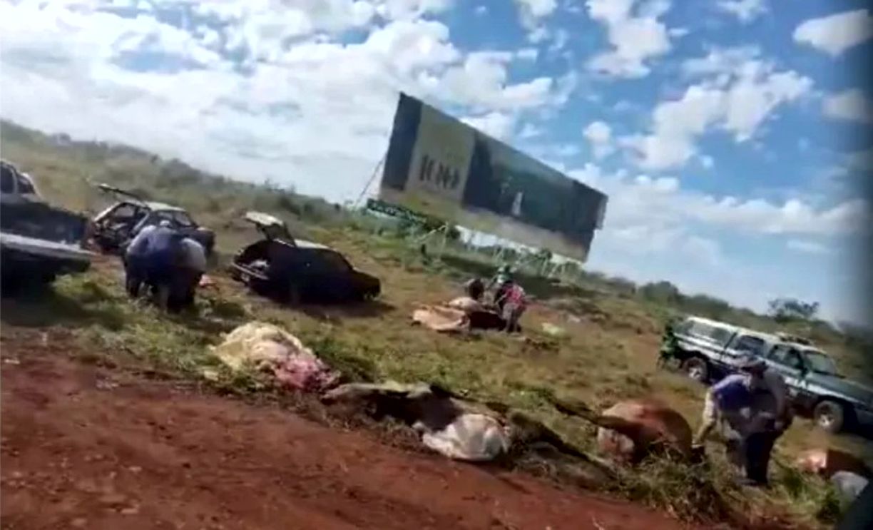 Corrientes: volcó un camión que trasladaba vacas y los vecinos las faenaron