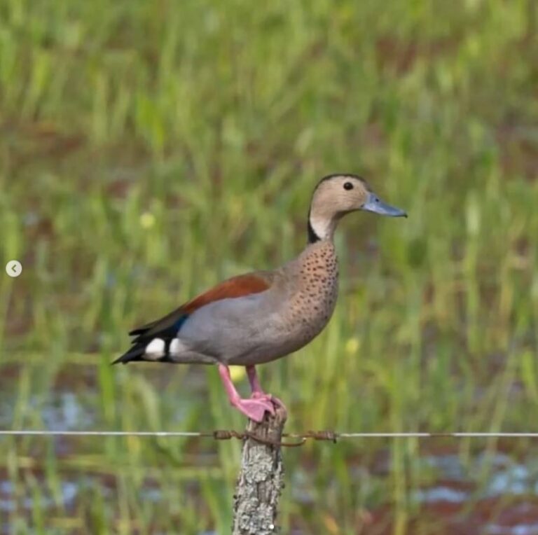 Captura de pantalla 2024-10-24 182526