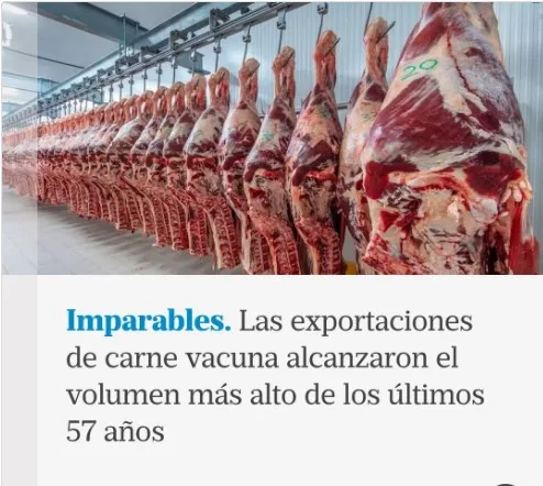 Las exportaciones de carne vacuna alcanzaron el volumen mas alto de los últimos 57 años.