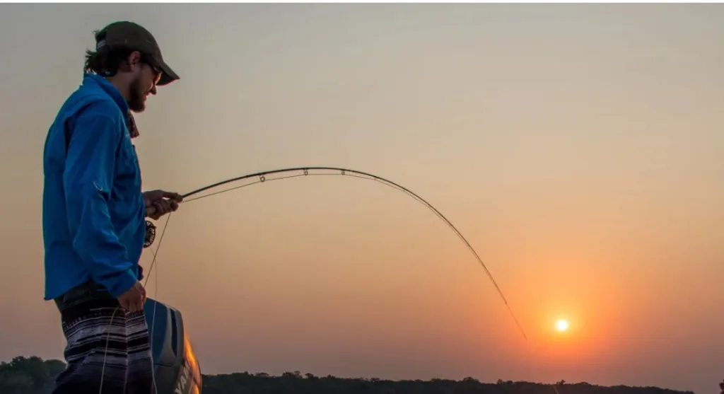 Captura de pantalla 2024-11-15 234953