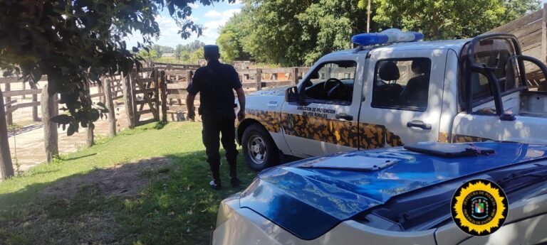 Imagen de WhatsApp 2024-12-27 a las 21.19.34_feb972b0