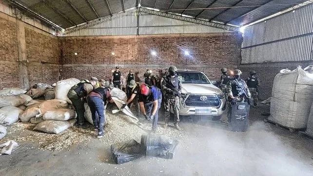 Misiones: Hallaron casi 4 toneladas de marihuana ocultas en bolsones de yerba