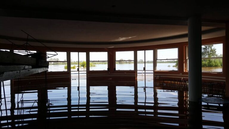 1913942_932014760218169_5740190803389517822_n