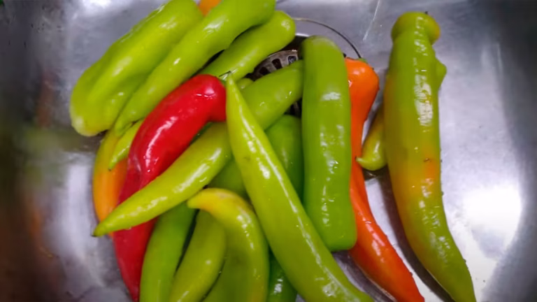 C5SWLBUUMRGWVJ7ANWWJTY5JGY