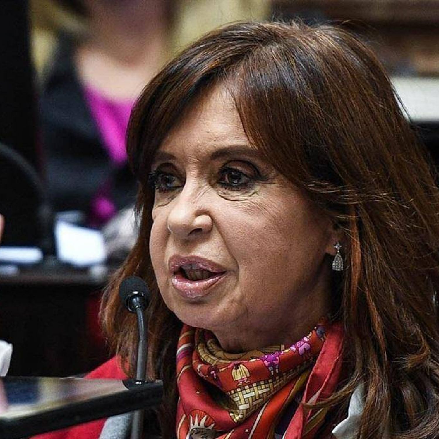 Críticas hacia la gestión de Cristina Fernández de Kirchner: hechos y reflexiones