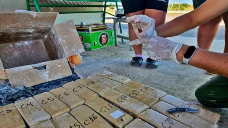 Traslado de droga desde Misiones a Entre Ríos: hubo más allanamientos y nuevos detenidos