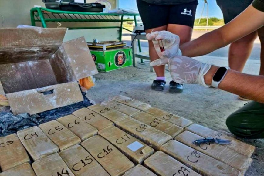 Traslado de droga desde Misiones a Entre Ríos: hubo más allanamientos y nuevos detenidos