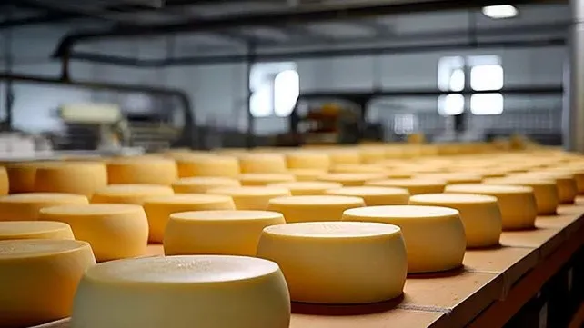 SanCor remata 43.750 kilos de quesos para pagar a acreedores