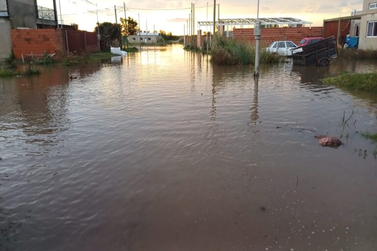 WhatsApp Image 2025-05-17 at 17 (1)