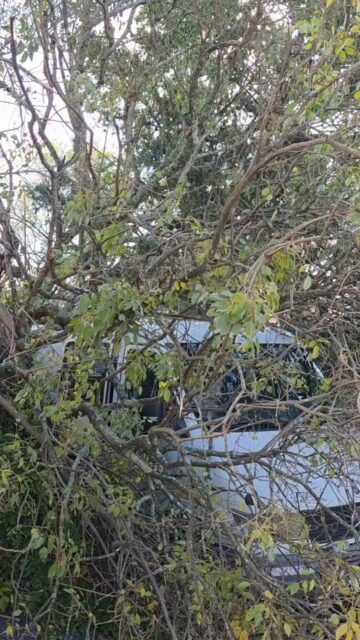El fuerte temporal destrozó autos, derribó árboles y dejó sin luz durante más de doce horas a numerosos barrios de Concordia
Pasadas las 3 de la madrugada de este sábado 18 de julio, un fuerte temporal azotó Concordia. Las intensas ráfagas de viento se extendieron durante unos 15 minutos, mientras que la lluvia continuó cayendo durante varias horas, provocando importantes inconvenientes en distintos sectores de la ciudad.
Uno de los principales problemas fue la interrupción del servicio de energía eléctrica, que afectó a numerosos barrios. En algunos casos, los vecinos permanecieron más de doce horas sin luz, lo que generó serias complicaciones durante gran parte de la jornada.
La prolongada falta de suministro eléctrico también repercutió en el servicio de agua potable en varios sectores de la ciudad, debido a que los sistemas de bombeo quedaron fuera de funcionamiento mientras se extendieron los cortes de energía. Fuente: oncordia Policiales