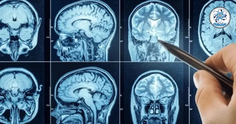 Copia-de-CABECERA-NUEVA-DIMENSION-2025-07-09T153403.753