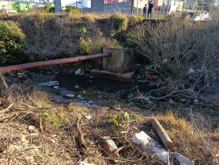 Imagen de WhatsApp 2025-07-24 a las 15.40.48_546325ce