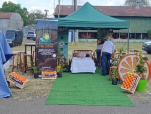 Imagen de WhatsApp 2025-10-17 a las 18.25.35_9a776e70