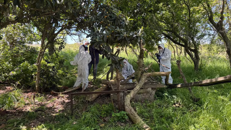 QACF7TRPTJGPHIBTKMBI75AAB4