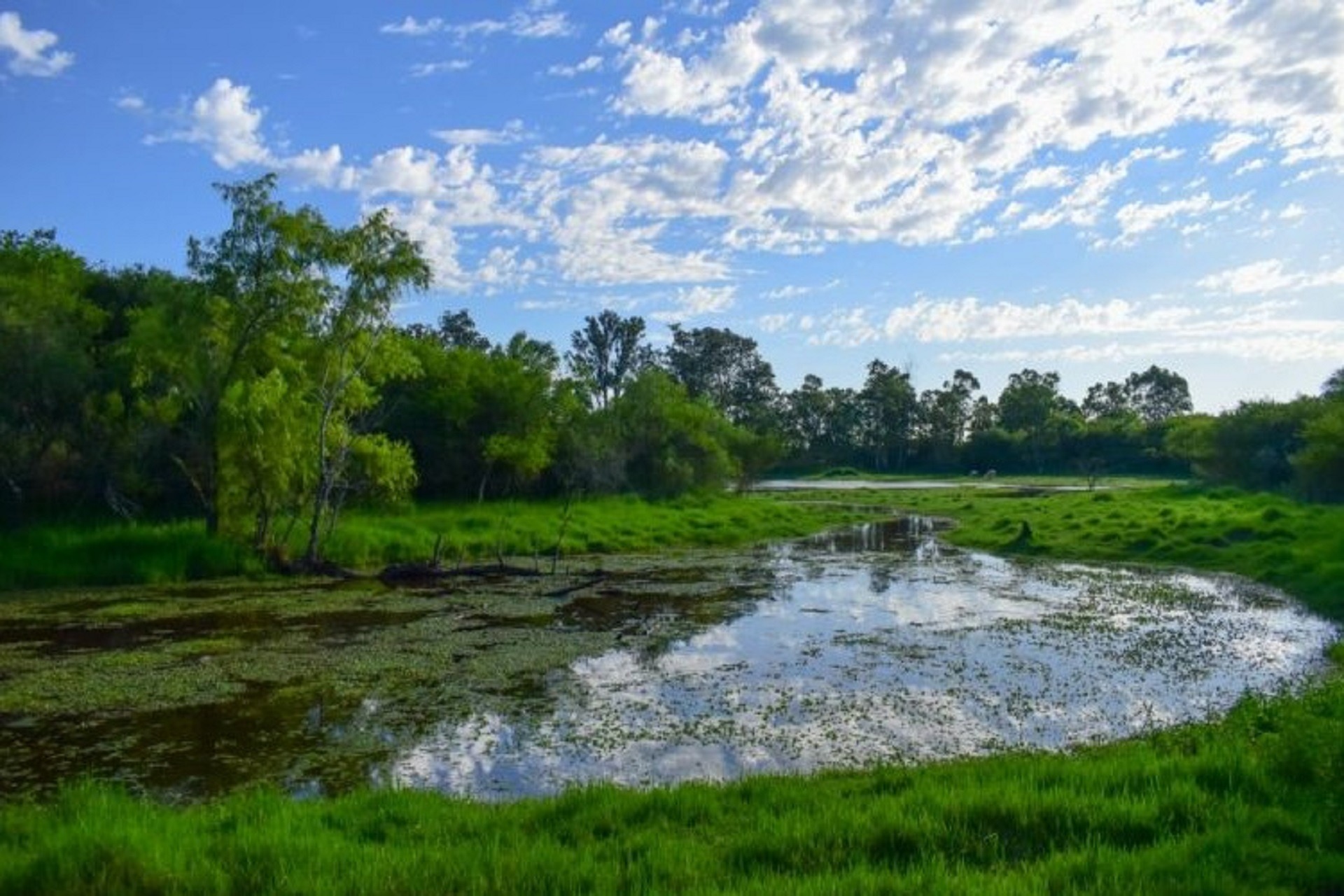Entre Ríos regulariza una nueva área natural protegida en Villaguay