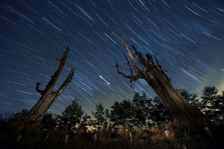 Lejos de las ciudades y bajo cielos despejados, la lluvia de estrellas Oriónidas ofrecerá uno de los espectáculos astronómicos más esperados del año. Lejos de las ciudades y bajo cielos despejados, la lluvia de estrellas Oriónidas ofrecerá uno de los espectáculos astronómicos más esperados del año.
