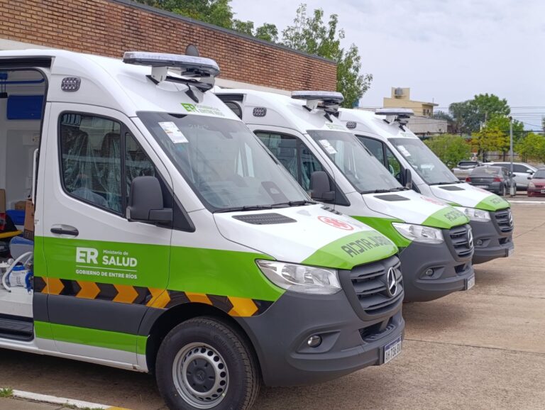 Imagen de WhatsApp 2025-11-12 a las 12.34.55_7ade2e62