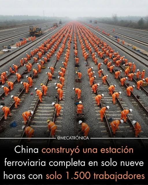 592139059_1255708043271035_7239584299110449508_n