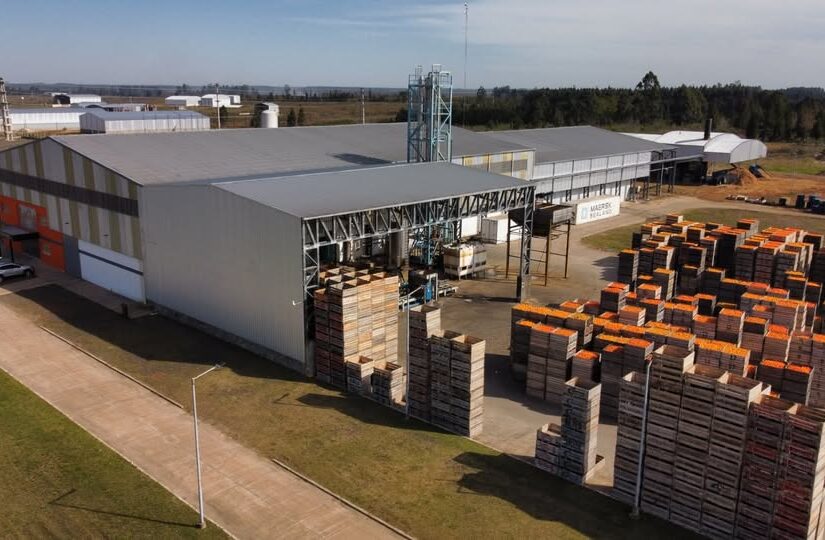 597490097_1328934809247506_5093884801404657002_n