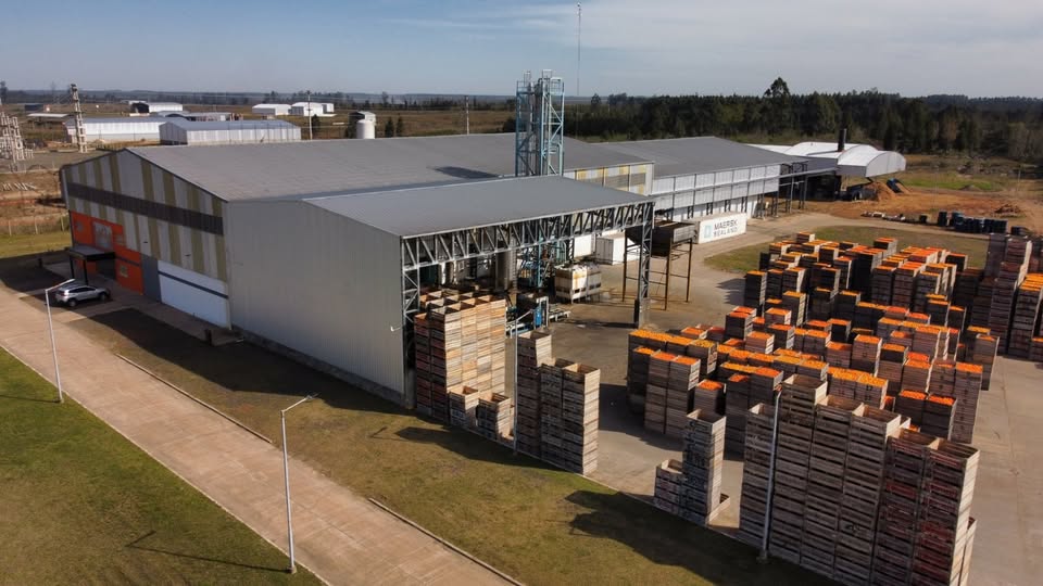 597490097_1328934809247506_5093884801404657002_n