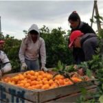 601848146_1286608310169877_2509690463982700459_n