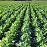 6389cd387324f_1200_675