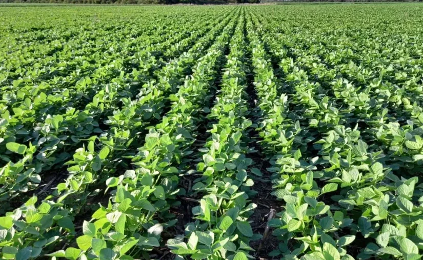 6389cd387324f_1200_675