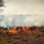 Imagen de WhatsApp 2025-12-10 a las 15.36.27_4f34a1f1