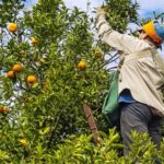 f800x450-263638_315084_5050