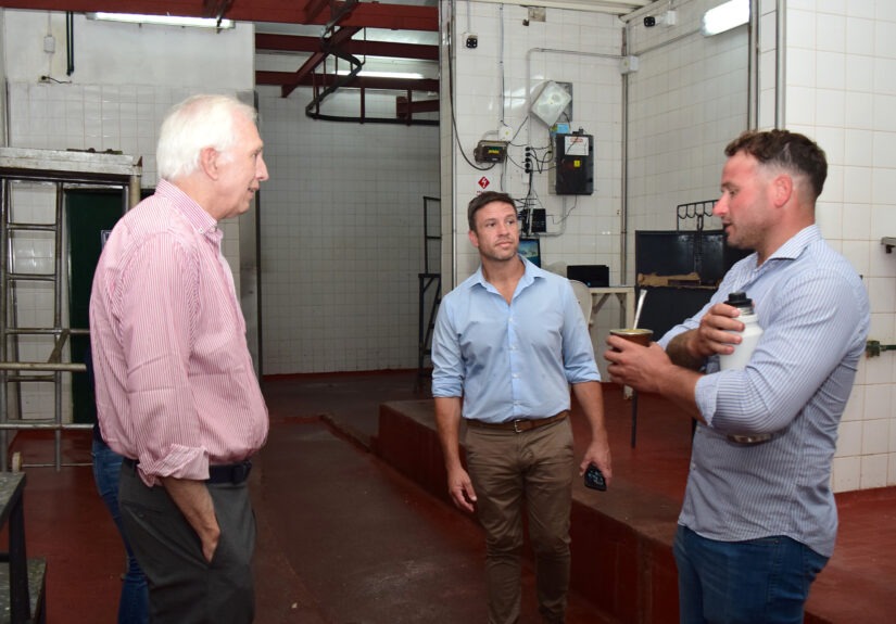 Foto II Ovinos Gualeguay