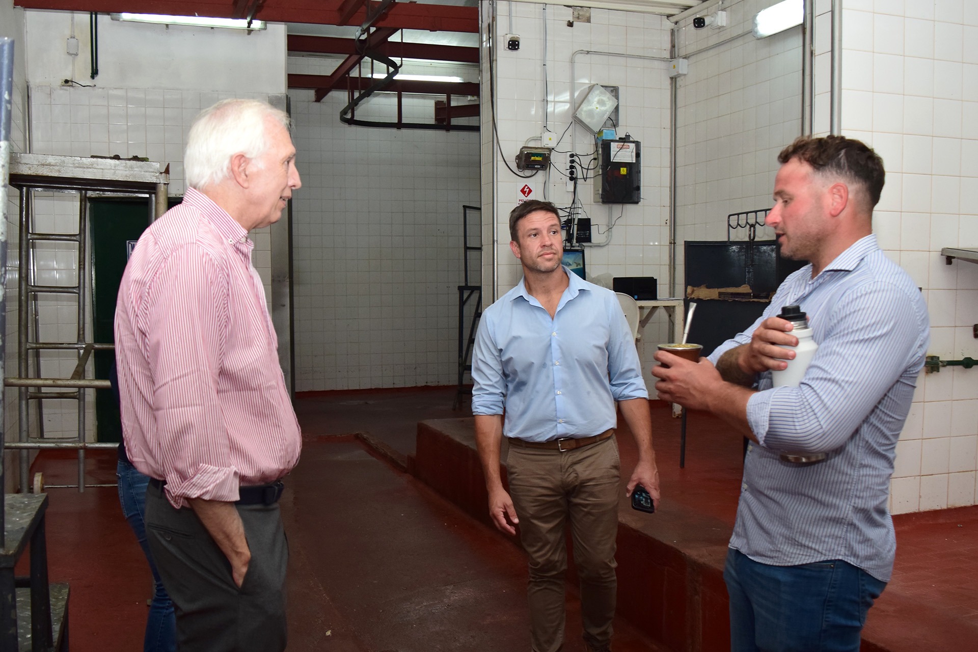 Foto II Ovinos Gualeguay