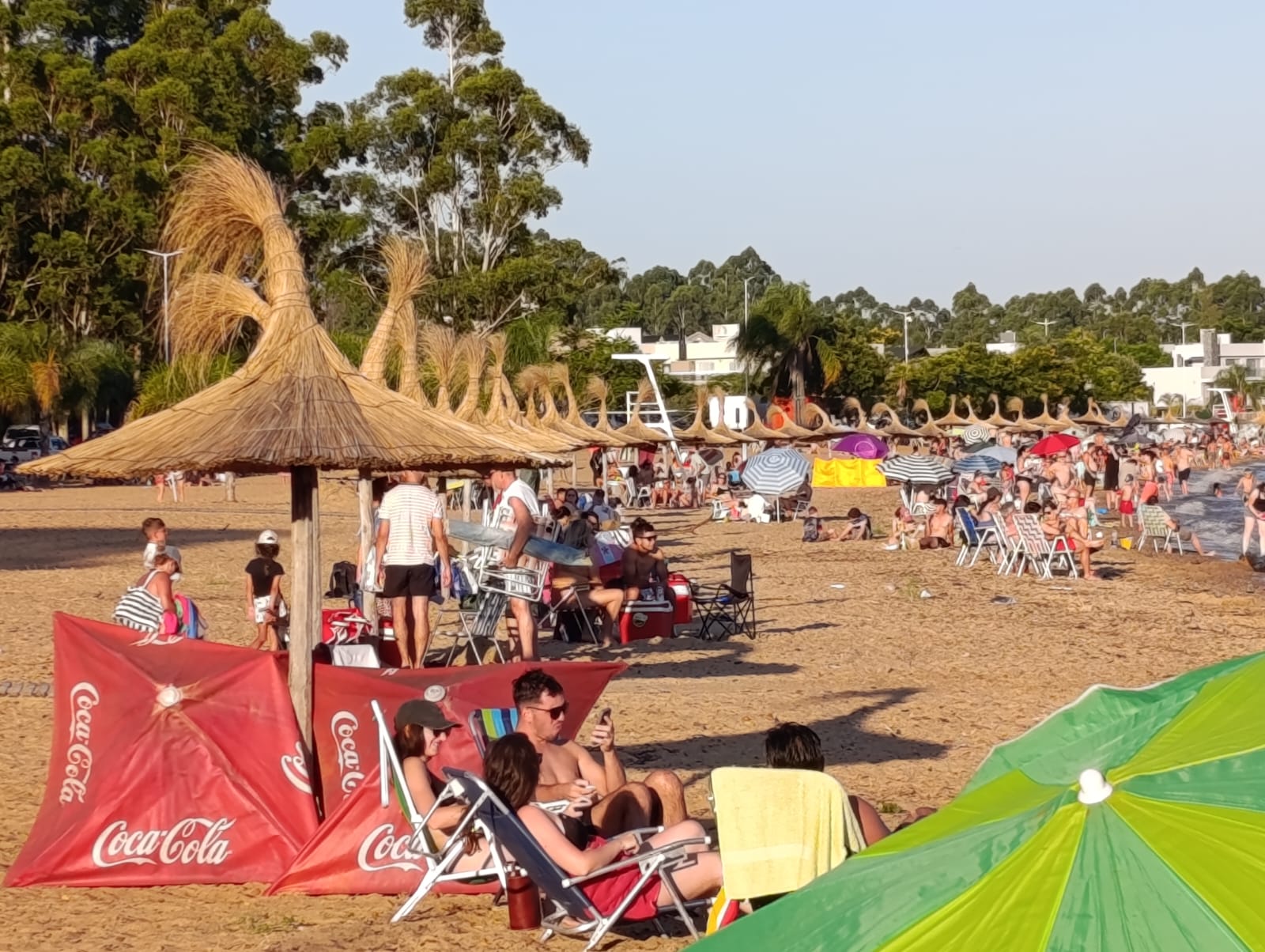 WhatsApp Image 2026-01-12 at 10.12.03 (1)