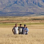 697cf3137d1f8_1200_675!