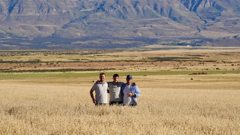 697cf3137d1f8_1200_675!