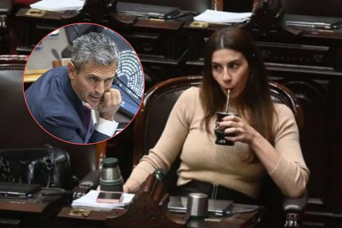 «¿Las tenés pagas?»: Marcela Pagano defendió a la diputada K y desafió a Martín Menem 1 Diseno-sin-titulo-2026-02-21T000728.098