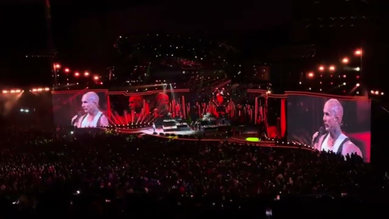 ¡GAVIOTA DE PLATA Y ORO PARA KE PERSONAJES! 🥳🥳 Lograron conquistar al Monstruo de la Quinta - youtube