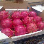 Pitayas-bichos-de-campo-3-750x375