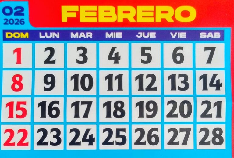 WhatsApp Image 2026-02-01 at 10.47.22