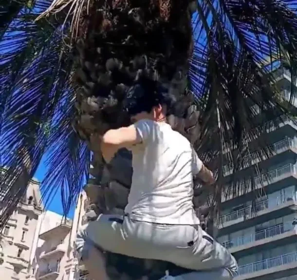 therian-mono-uruguay