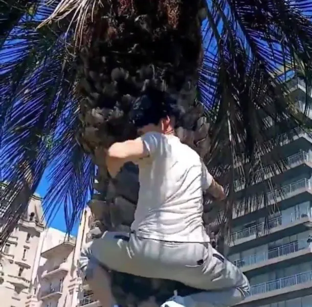 therian-mono-uruguay