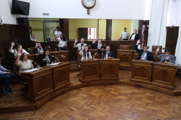 CD pleno 2da sesion marzo 2026 (1)