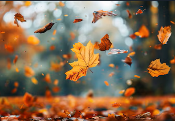 Captura de pantalla 2026-03-20 232315