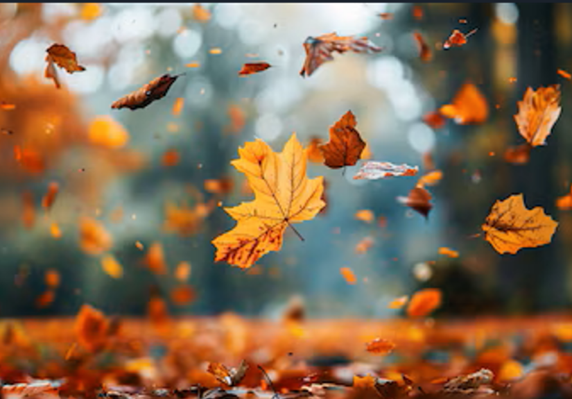 Captura de pantalla 2026-03-20 232315