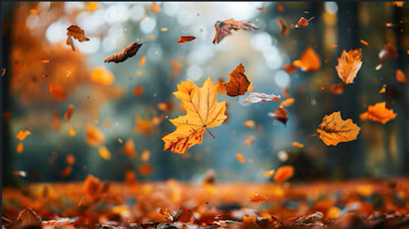 Qué anticipa el SMN para el otoño 2026 en Argentina y cómo será el clima 1 Captura de pantalla 2026-03-20 232315