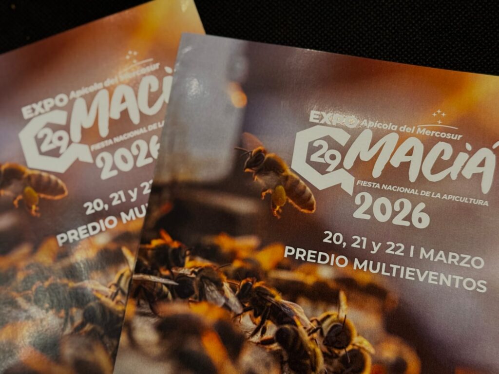 WhatsApp Image 2026 03 13 at 19.11.11