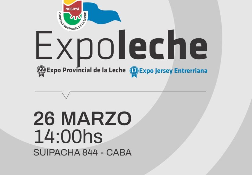 WhatsApp Image 2026-03-20 at 12.42.28