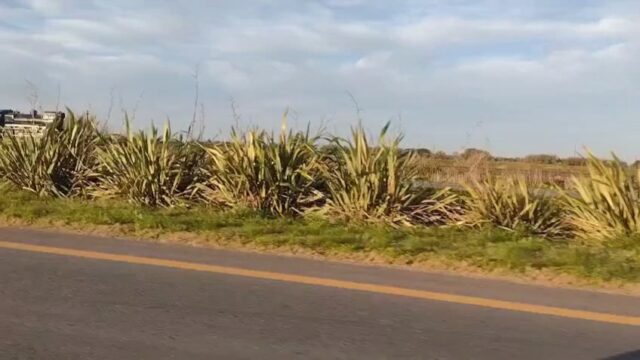 Es emocionante ver esto, el siglo XX visitando el siglo XXI . Felicitaciones por la incicitiva del ferroclub Escalada .