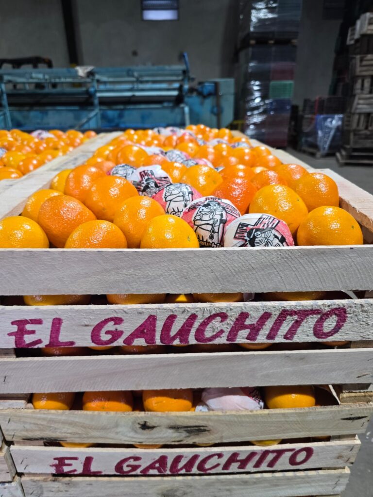 Productores de Entre Ríos llegan al Mercado Concentrador Patagónico con citrus frescos para Santa Cruz 4 WhatsApp Image 2026 05 17 at 15.34.39