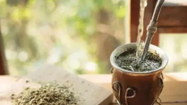 Entre Ríos: descubren en el mate propiedades neuroprotectoras frente al Parkinson 1 consumo yerba matejpg