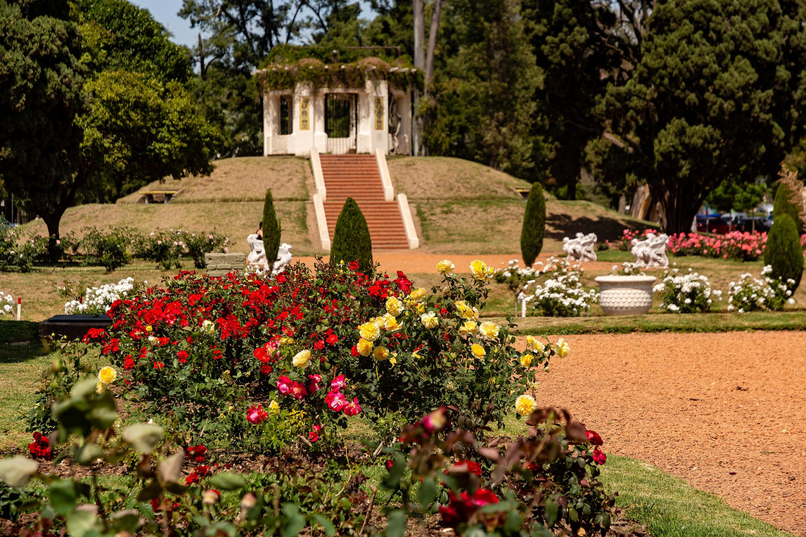 ROSARIO: La Municipalidad entregará esquejes de rosales para que los vecinos los planten en sus casas 1 rosedal